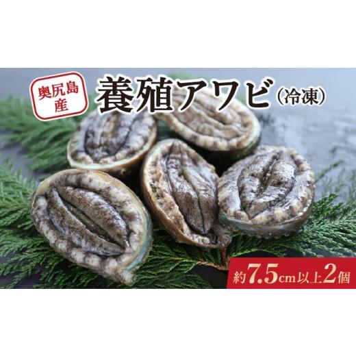 ふるさと納税 魚貝類 アワビ 北海道 奥尻町 奥尻島産 冷凍 養殖アワビ (2個入り) 1個 約75mm | 新鮮 あわび アワビ 鮑 魚介 酒蒸し バター焼き 刺身 天ぷら グ…