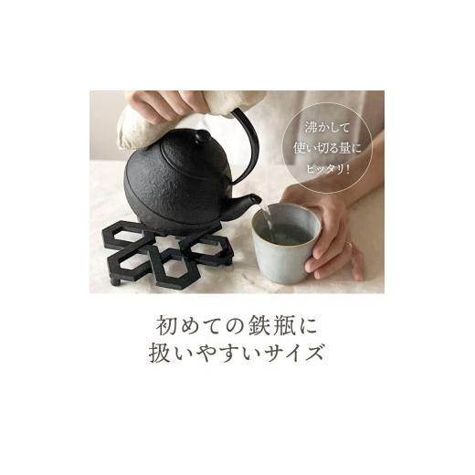 ふるさと納税 金工品 岩手県 奥州市 南部鉄器 鉄瓶たまご形 0.55L 伝統工芸品 小さい鉄瓶 手のひらサイズ コンパクト キッチン用品 日用品 雑貨 直火 ガスレン…の画像