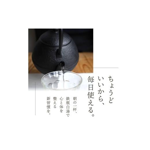 ふるさと納税 金工品 岩手県 奥州市 南部鉄器 鉄瓶たまご形 0.55L 伝統工芸品 小さい鉄瓶 手のひらサイズ コンパクト キッチン用品 日用品 雑貨 直火 ガスレン…の画像
