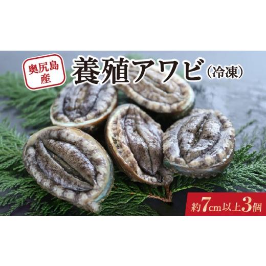 ふるさと納税 魚貝類 アワビ 北海道 奥尻町 奥尻島産 冷凍 養殖アワビ (3個入り) 1個 約70mm | 新鮮 あわび アワビ 鮑 魚介 酒蒸し バター焼き 刺身 天ぷら グ…