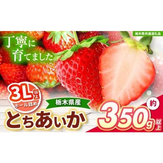 ふるさと納税 果物類 栃木県 矢板市 先行予約 とちあいか 3L以上ホール詰め 350g 栃木県共通返礼品 | いちご とちあいか 大粒 新鮮 甘い 果物 共通返礼品 フ…