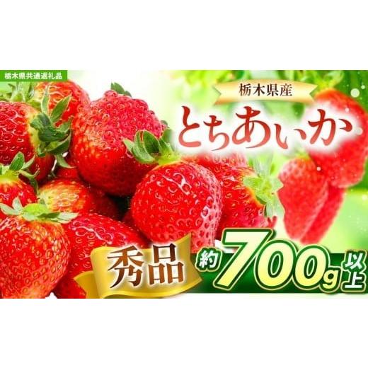 ふるさと納税 果物類 栃木県 矢板市 先行予約 とちあいか 秀品 約700g 栃木県共通返礼品 | いちご とちあいか 大粒 新鮮 甘い 朝採れ 香貴 数量 限定 美味し…