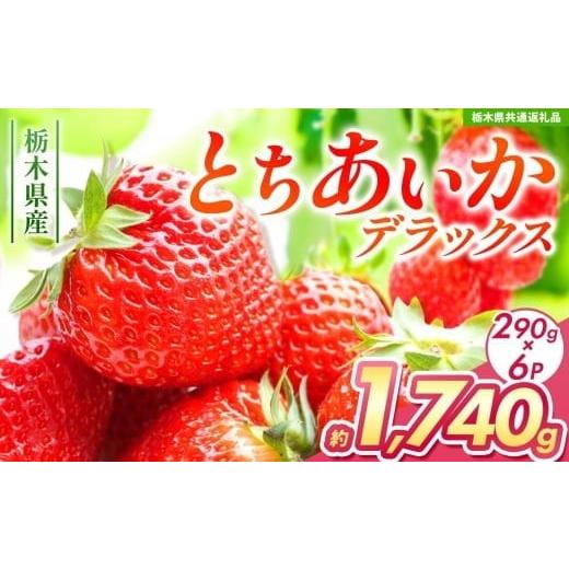 ふるさと納税 果物類 栃木県 矢板市 先行予約 とちあいかデラックス 約1740g (290g×6) 栃木県共通返礼品 | いちご とちあいか 大粒 新鮮 甘い 数量 限定 美…