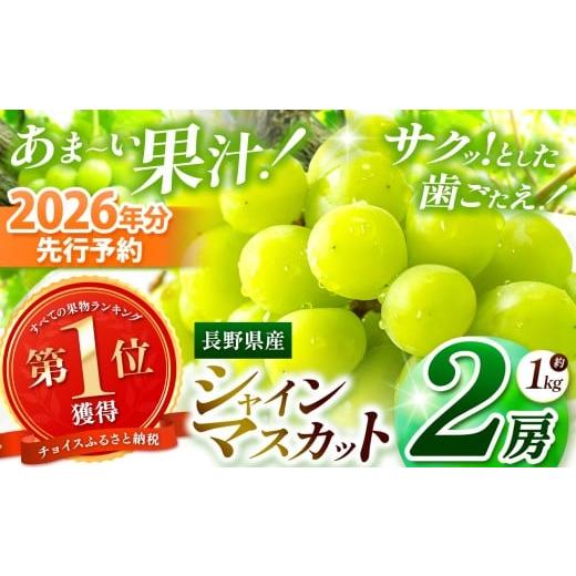 ふるさと納税 ぶどう マスカット 長野県 塩尻市 [チョイス限定] 2026年出荷 先行予約開始しました 絶品 シャインマスカット 2房 先行予約 2026年9月下旬〜11…