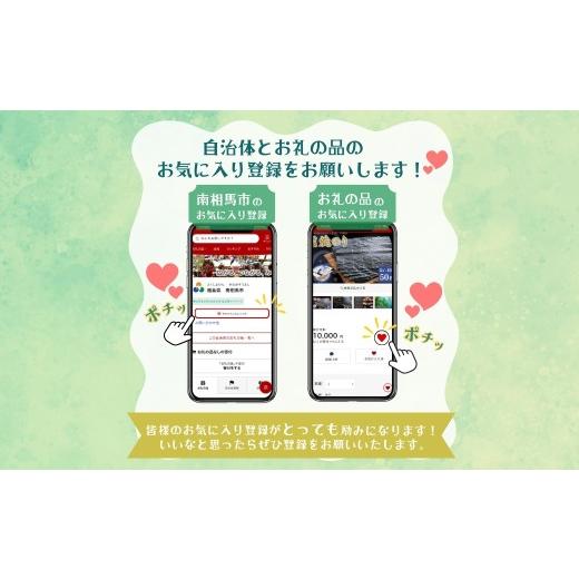 ふるさと納税 雑貨・日用品 花 福島県 南相馬市 2026年 先行予約 シクラメン イリュージア ピンクラテ 6号鉢 | 花 お花 ガーデンシクラメン ピンク 6号 花ギ…_6