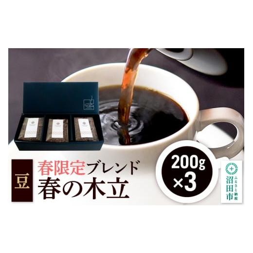 ふるさと納税 コーヒー コーヒー豆 群馬県 沼田市 春季限定 ブレンドコーヒー 豆「春の木立」200g×3袋