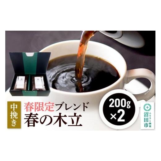 ふるさと納税 コーヒー コーヒー粉 群馬県 沼田市 春季限定 ブレンドコーヒー 中挽き「春の木立」200g×2袋
