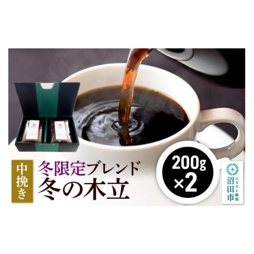ふるさと納税 コーヒー コーヒー粉 群馬県 沼田市 冬季限定 ブレンドコーヒー 中挽き「冬の木立」200g×2袋