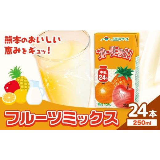ふるさと納税 飲料類 乳飲料 熊本県 菊池市 常温保存可能 フルーツミックス 250ml×24本 合同会社たべたせいか[30日以内に出荷予定(土日祝除く)]熊本県 菊池…