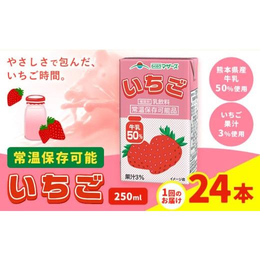ふるさと納税 飲料類 乳飲料 熊本県 菊池市 常温保存可能 いちご 1回 250ml×24本 合同会社たべたせいか[30日以内に出荷予定(土日祝除く)] いちごミルク い…