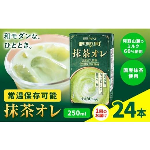 ふるさと納税 お茶類 緑茶(飲料) 熊本県 菊池市 抹茶・オ・レ 1回 250ml×24本 選べる 内容量 合同会社たべたせいか[30日以内に出荷予定(土日祝除く)] 抹…