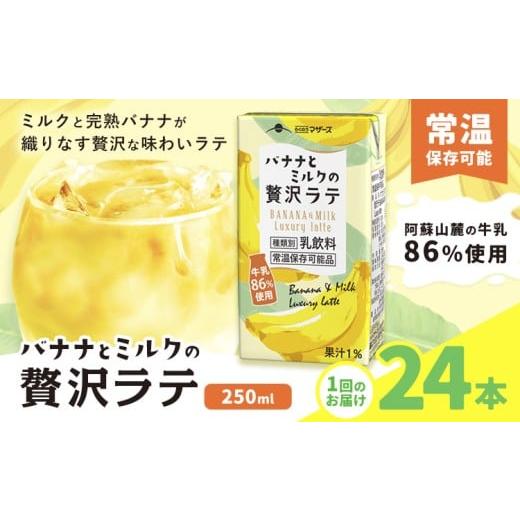 ふるさと納税 飲料類 乳飲料 熊本県 菊池市 バナナとミルクの贅沢ラテ 1回 250ml×24本 合同会社たべたせいか[30日以内に出荷予定(土日祝除く)] バナナラテ …