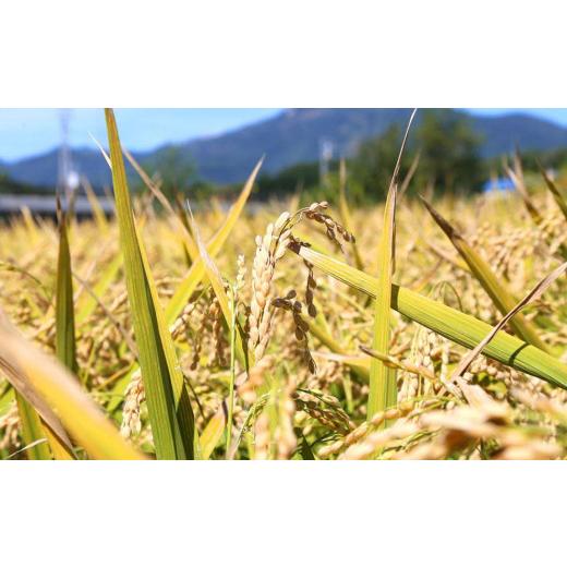 ふるさと納税 日本酒 純米大吟醸酒 北海道 小樽市 小樽の地酒 北の一星仕かける 2種 720ml×2本 計約1.4L