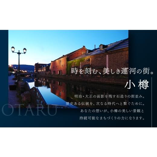 ふるさと納税 日本酒 純米大吟醸酒 北海道 小樽市 小樽の地酒 北の一星仕かける 2種 720ml×2本 計約1.4L