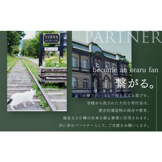 ふるさと納税 日本酒 純米大吟醸酒 北海道 小樽市 小樽の地酒 北の一星仕かける 2種 720ml×2本 計約1.4L