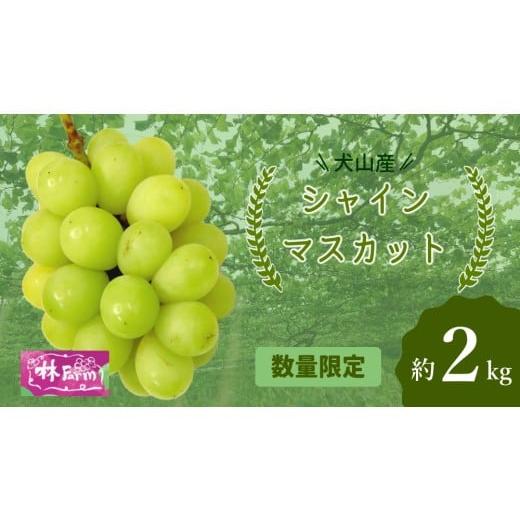 ふるさと納税 ぶどう マスカット 愛知県 犬山市 25-15_ 期間限定・数量限定 犬山産 シャインマスカット 約2キロ(先行予約) | ぶどう 甘い 2キロ 限定 夏 林…