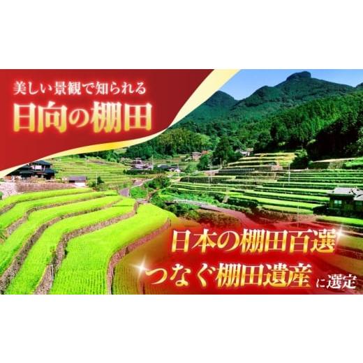 ふるさと納税 地域のお礼の品 長崎県 川棚町  2回定期便 虚空蔵の清流水で育った棚田米『ひなた米』 5kg 木場中山間管理組合 OCM042 |  | 03