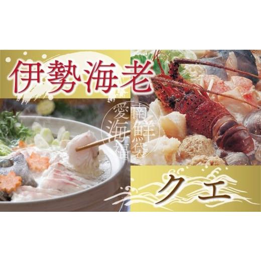 ふるさと納税 旬の鮮魚等 愛媛県 愛南町 数量限定 選べる 内容量 豪華 海鮮福袋 伊勢海老 クエ セット 30000円 冷凍 人気 お楽しみ 海鮮セット 伊勢エビ 個包…