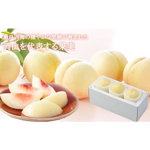 ふるさと納税 もも 岡山県 倉敷市 岡山白桃 ロイヤル3玉×約200g 計約600g 岡山県産 2026年7月上旬〜8月下旬まで順次発送予定 モモ もも 桃 白桃 果物 フルー…