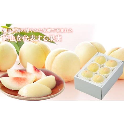 ふるさと納税 もも 岡山県 倉敷市 岡山白桃 ロイヤル 4〜6玉 約1kg 岡山県産 2026年7月上旬〜8月下旬まで順次発送予定 モモ もも 桃 白桃 果物 フルーツ 岡山…