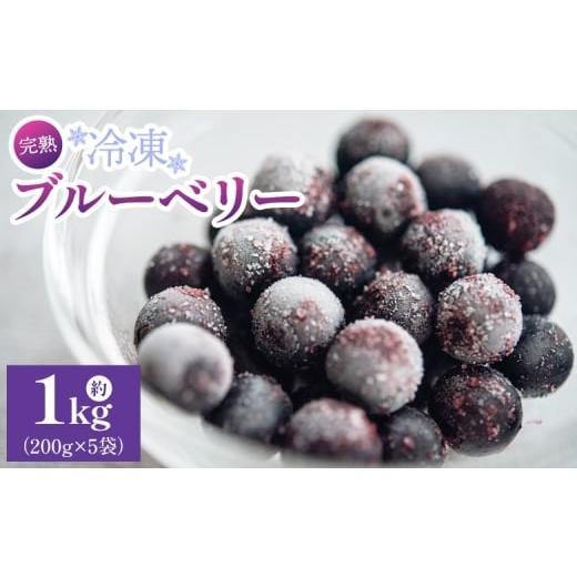 ふるさと納税 果物類 高知県 香南市 完熟 冷凍ブルーベリー 約1kg(200g×5袋) - ブルーベリー 冷凍ブルーベリー フ゛ルーヘ゛リー フルーツ 果物 くだもの お…