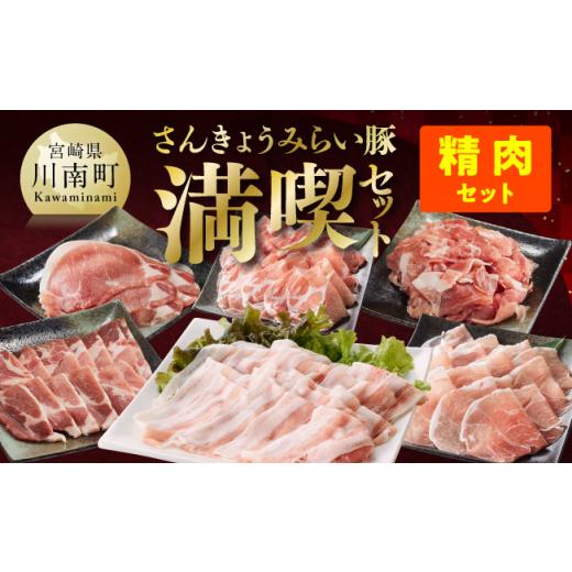 ふるさと納税 豚肉 セット 宮崎県 川南町 いろんな料理にアレンジできちゃう満喫コース 令和8年6月発送分 さんきょうみらい豚満喫セット(精肉) 満喫 セッ…
