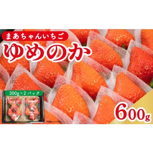 ふるさと納税 いちご 徳島県 阿波市 先行予約 いちご ゆめのか 600g (300g×2p) 苺 ストロベリー 果物 フルーツ デザート スイーツ おやつ お菓子 洋菓子 和…