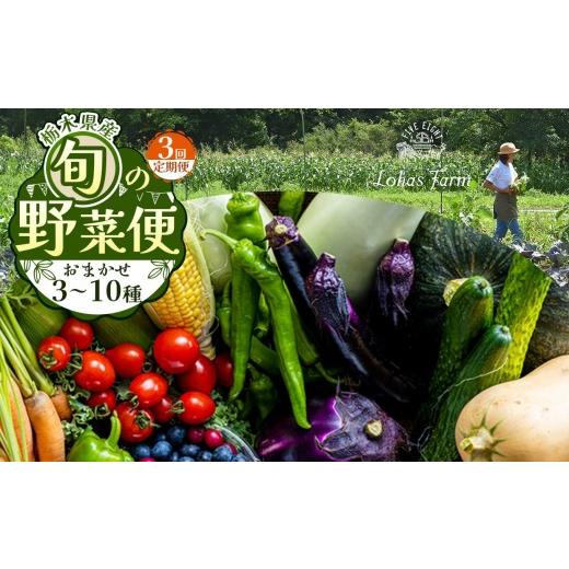 ふるさと納税 セット・詰合せ 栃木県 矢板市  定期便3回 先行予約 栃木県産 旬の野菜 (果物) 便 3〜10種 ×3回 定期3回 | 42,000円_1