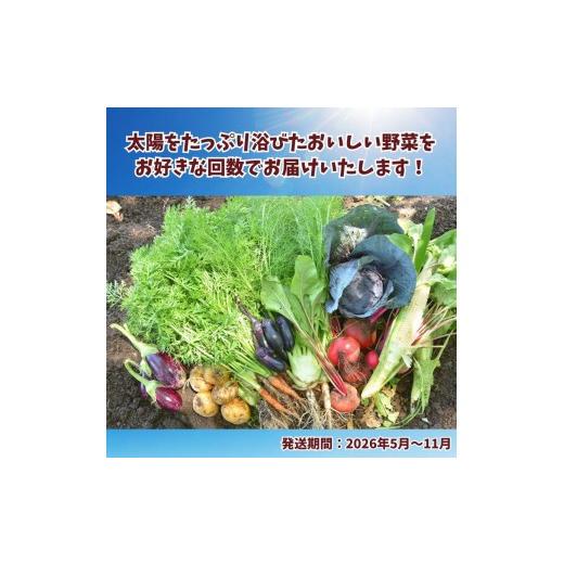 ふるさと納税 セット・詰合せ 栃木県 矢板市  定期便3回 先行予約 栃木県産 旬の野菜 (果物) 便 3〜10種 ×3回 定期3回 | 42,000円_2