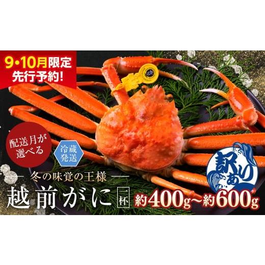 ふるさと納税 カニ ずわいガニ 福井県 越前市 年内発送・日付指定可 先行予約 9月10月限定 越前がに(オス)「ずわいがに」(400g〜600g) 訳あり 1杯 越前が…