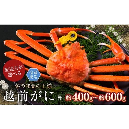 ふるさと納税 カニ ずわいガニ 福井県 越前市 2026年2月発送・月指定可 越前がに(オス)「ずわいがに」(400g〜600g) 1杯 越前がに(オス)「ずわいがに」…