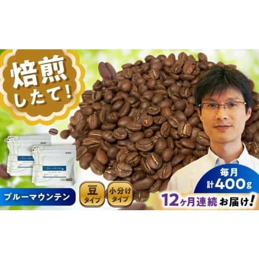 ふるさと納税 コーヒー コーヒー豆 愛知県 瀬戸市 全12回定期便 ブルーマウンテンNo.1 コーヒー豆 200g×2個 (豆) / 珈琲 コーヒー 豆 / 瀬戸市 / Cof…