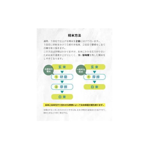 ふるさと納税 米 熊本県 和水町 令和7年産 定期便6回 753（なごみ）応援米 5kg 熊本県産 お米 白米 | 5キロ ブレンド米 日本遺産 菊池川流域 お米 家庭用 訳…_3