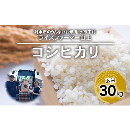 ふるさと納税 米 コシヒカリ 富山県 射水市 射水市 ライスファーマー山上 農家直送 射水の美味しいお米 R7年産コシヒカリ30kg 玄米 離島への配送不可