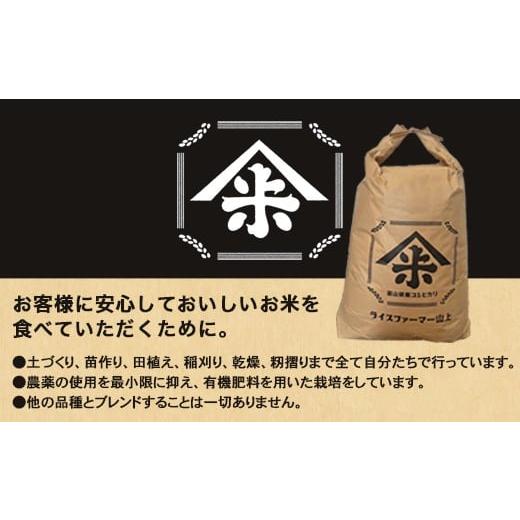 ふるさと納税 米 コシヒカリ 富山県 射水市  射水市 ライスファーマー山上 農家直送 射水の美味しいお米 R7年産コシヒカリ30kg 玄米 ｜米 こめ コメ こしひか…の画像