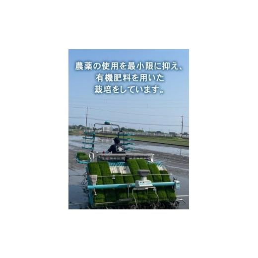 ふるさと納税 米 コシヒカリ 富山県 射水市  射水市 ライスファーマー山上 農家直送 射水の美味しいお米 R7年産コシヒカリ30kg 玄米 ｜米 こめ コメ こしひか…の画像