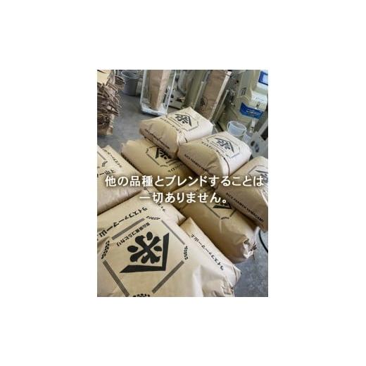 ふるさと納税 米 コシヒカリ 富山県 射水市  射水市 ライスファーマー山上 農家直送 射水の美味しいお米 R7年産コシヒカリ30kg 玄米 ｜米 こめ コメ こしひか…の画像