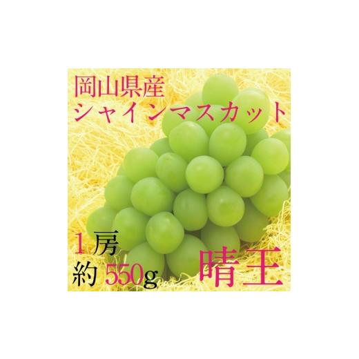 ふるさと納税 ぶどう マスカット 岡山県 玉野市 ぶどう 2026年 先行予約 9月・10月発送 シャインマスカット 晴王 1房 約550g ブドウ 葡萄 岡山県産 国産 フル…