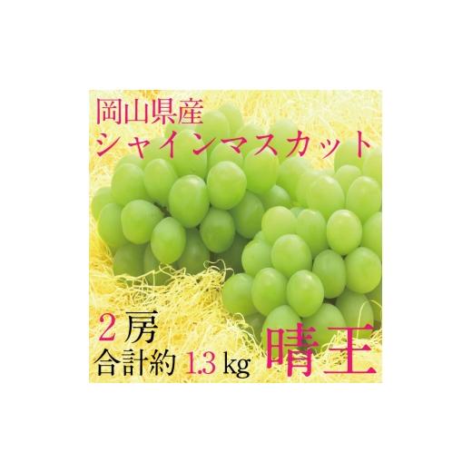 ふるさと納税 ぶどう マスカット 岡山県 玉野市 ぶどう 2026年 先行予約 9月・10月発送 シャインマスカット 晴王 2房(合計約1.3kg) ブドウ 葡萄 岡山県産 国…