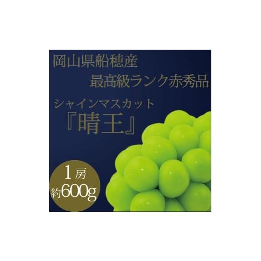 ふるさと納税 ぶどう マスカット 岡山県 玉野市 ぶどう 2026年 先行予約 9月・10月発送 高級品 シャインマスカット 晴王 1房 約600g ブドウ 葡萄 岡山県産 船…