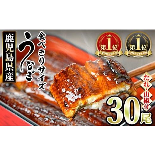 ふるさと納税 うなぎ 鹿児島県 東串良町 1084329a 食べきりサイズ 東串良町のうなぎ蒲焼(無頭)(30尾・計3000g・タレ、山椒付) うなぎ 高級 ウナギ 鰻 国産 蒲…