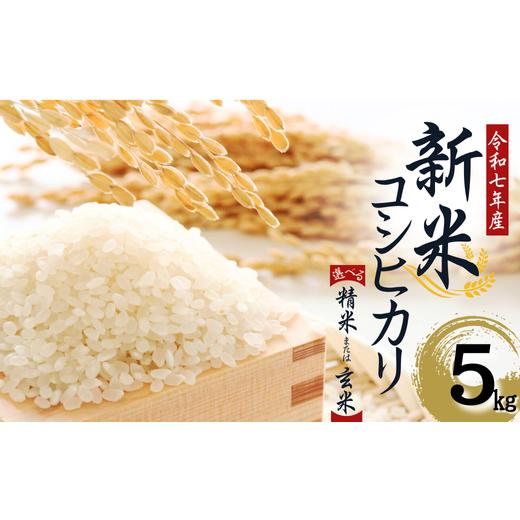 ふるさと納税 米 コシヒカリ 埼玉県 加須市 令和7年産 水野農園の加須市北川辺産 コシヒカリ 5kg [選べる 精米or玄米]|お米 新米 米 令和7年 …