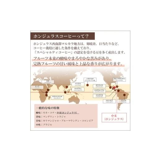 ふるさと納税 コーヒー コーヒー粉 埼玉県 滑川町 《定期便4ヶ月》コーヒー豆 自家焙煎 ホンジュラス スペシャルティコーヒー 焙煎豆 200g×1パック 粗挽き ラ…_3