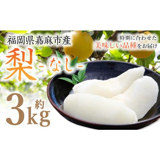 ふるさと納税 梨 福岡県 嘉麻市 梨 3.0kg 2025年8月上旬-12月上旬発送予定 ナシ フルーツ くだもの 福岡県 嘉麻市