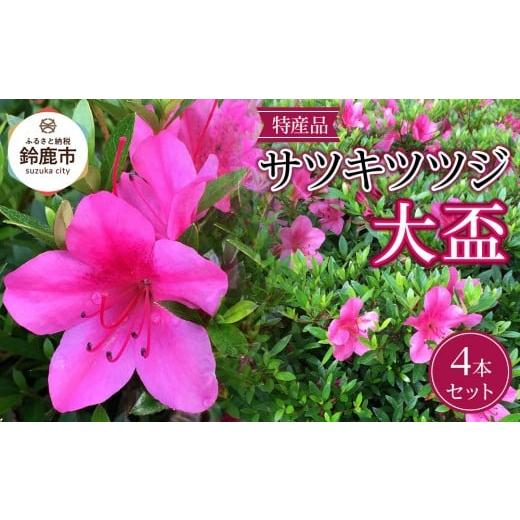 ふるさと納税 花・苗木 盆栽 三重県 鈴鹿市 特産品の サツキツツジ大盃 4本セット_1