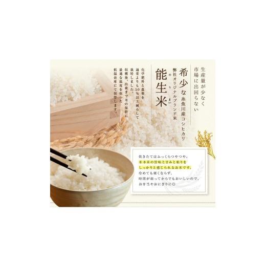 ふるさと納税 玄米 新潟県 糸魚川市  2026年5月発送 令和7年産 新潟県糸魚川産コシヒカリ 玄米30kg 2025年産 精米サービス可能 農家直送 あぐ里能生 能生米 米…の画像