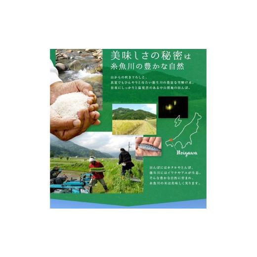 ふるさと納税 玄米 新潟県 糸魚川市  2026年5月発送 令和7年産 新潟県糸魚川産コシヒカリ 玄米30kg 2025年産 精米サービス可能 農家直送 あぐ里能生 能生米 米…の画像