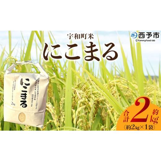 ふるさと納税 米 にこまる 愛媛県 西予市 令和7年産 西予市宇和町産 にこまる 約2kg お米 コメ 白米 精米 単一原料米 ご飯 晩稲 大粒 精米 ご飯 ライス 穀物 …