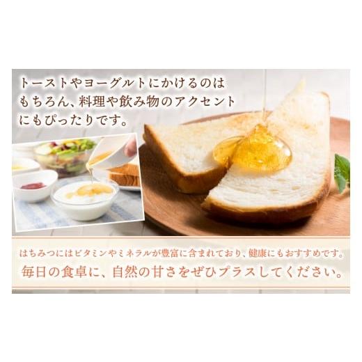 ふるさと納税 加工品等 はちみつ 岩手県 紫波町 純粋はちみつ 300g×2本（アカシア・百花蜜） (ES001)の画像