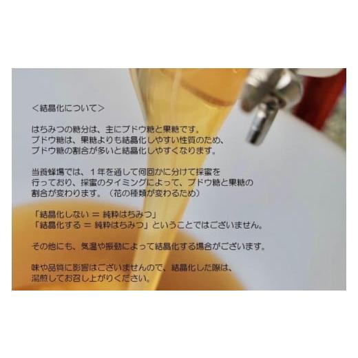 ふるさと納税 加工品等 はちみつ 岩手県 紫波町 純粋はちみつ 300g×2本（アカシア・百花蜜） (ES001)の画像